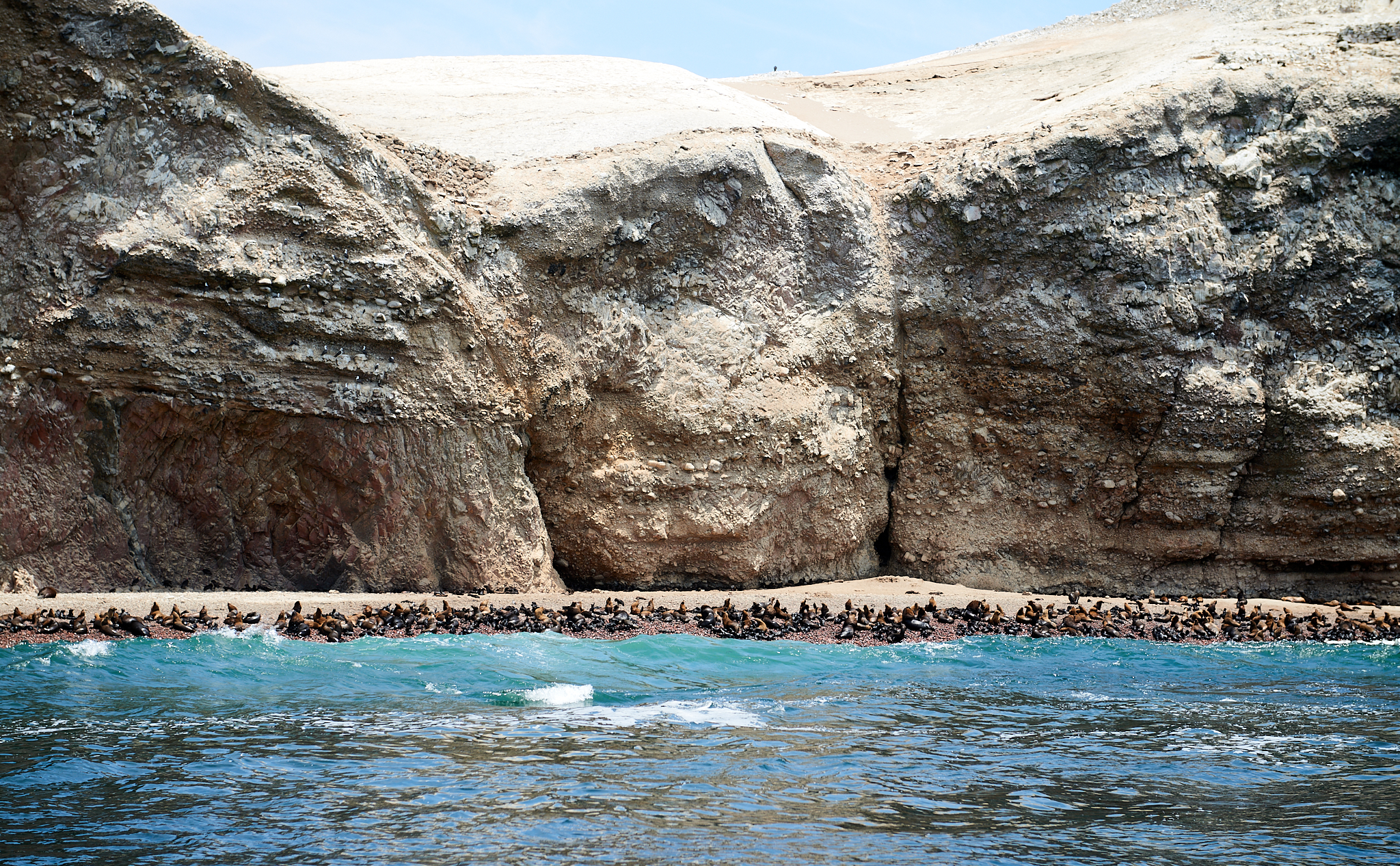 20200304 213 [페루] 바예스타섬